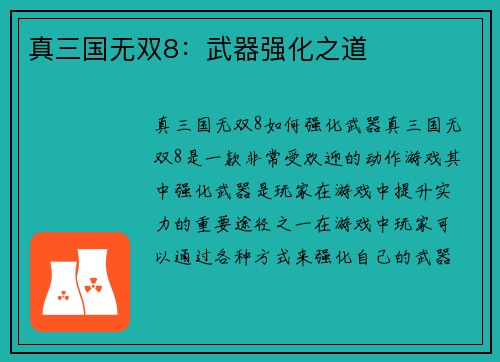 真三国无双8：武器强化之道